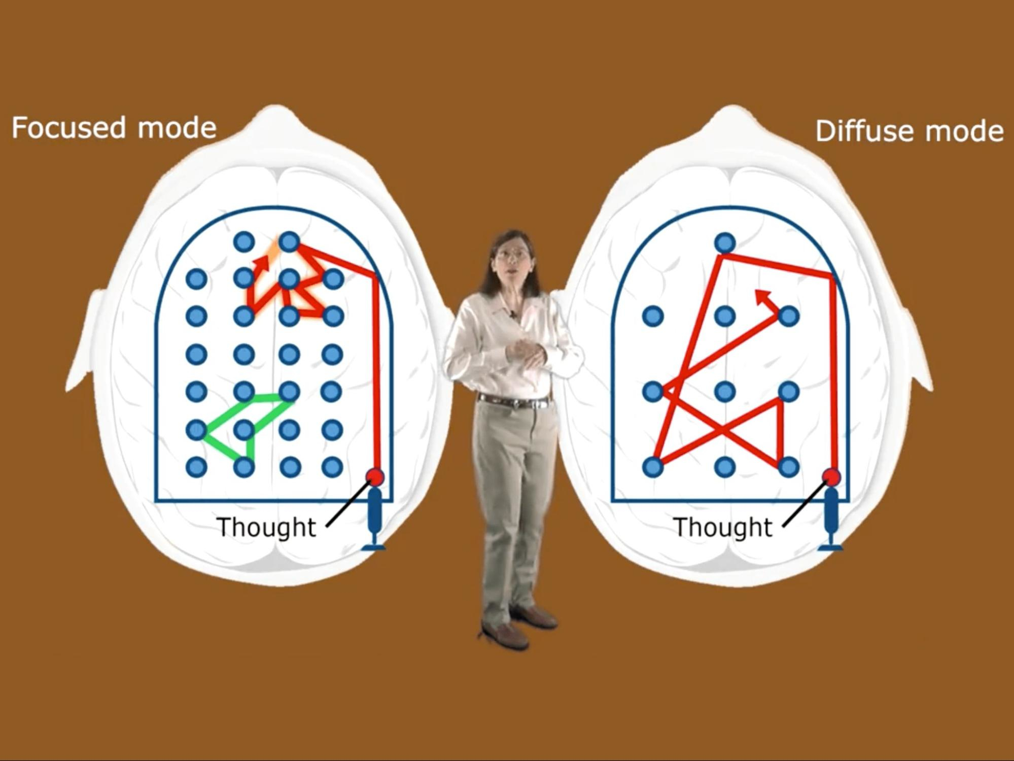 Barbara Oakley with a visual metaphor for the difference between focussed and diffuse modes
